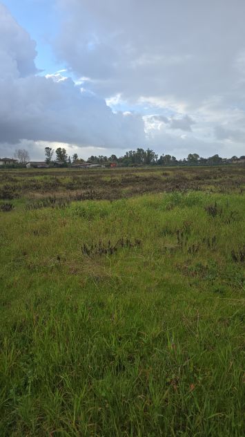 terreno agricolo in vendita a Latina in zona Borgo Isonzo