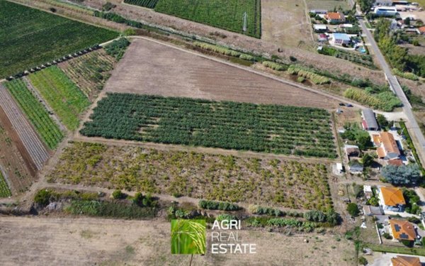 terreno agricolo in vendita a Latina in zona Le Ferriere