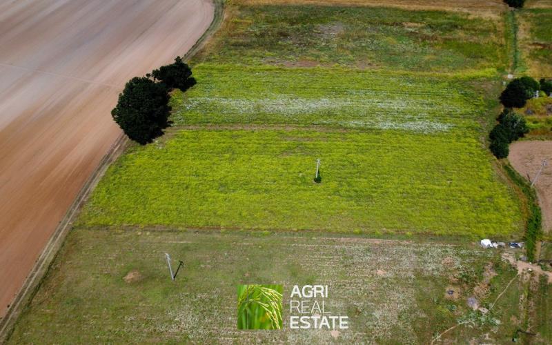 terreno agricolo in vendita a Latina in zona Fogliano