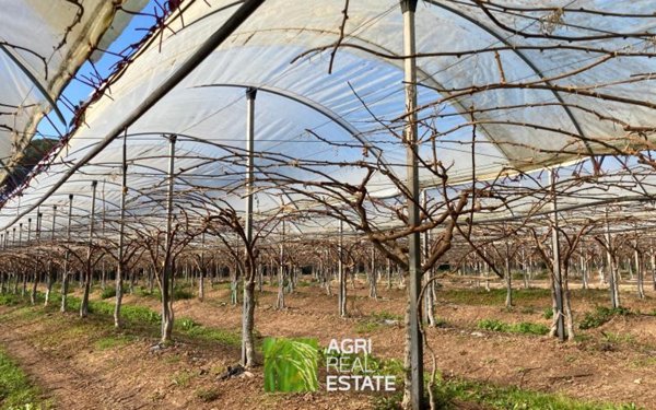 appartamento in vendita a Latina