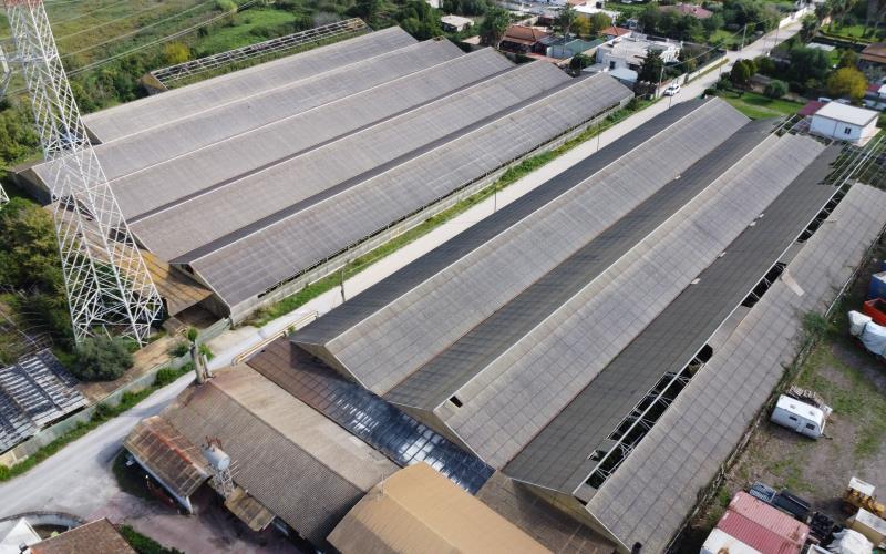 terreno agricolo in vendita a Latina