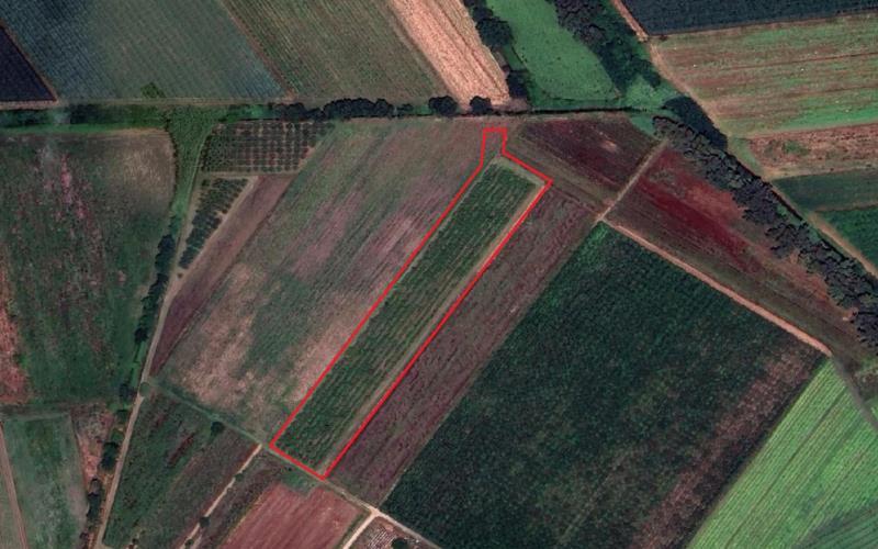 terreno agricolo in vendita a Latina