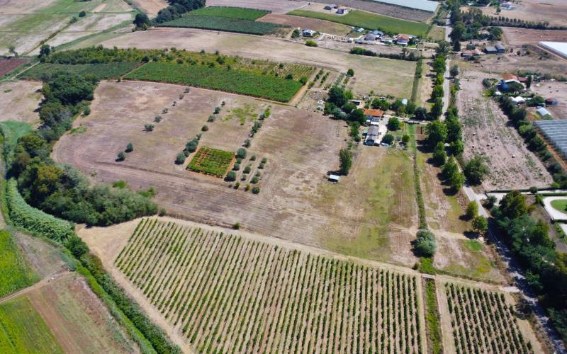 terreno edificabile in vendita a Latina in zona Borgo Montello