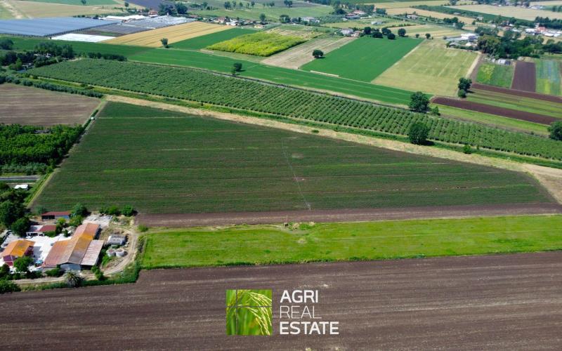 terreno agricolo in vendita a Latina in zona Torre Tre Ponti