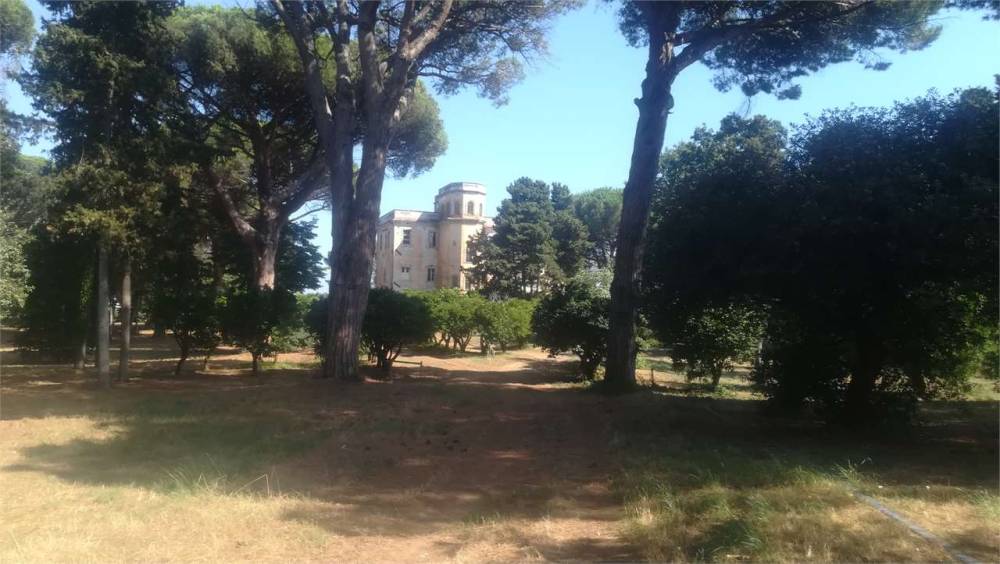 azienda agricola in vendita a Latina