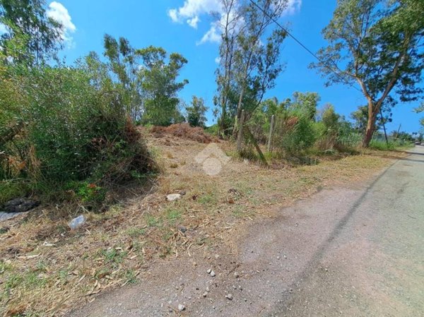 terreno agricolo in vendita a Latina in zona Borgo San Michele
