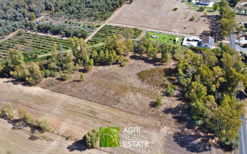 terreno agricolo in vendita a Latina in zona Borgo Santa Maria