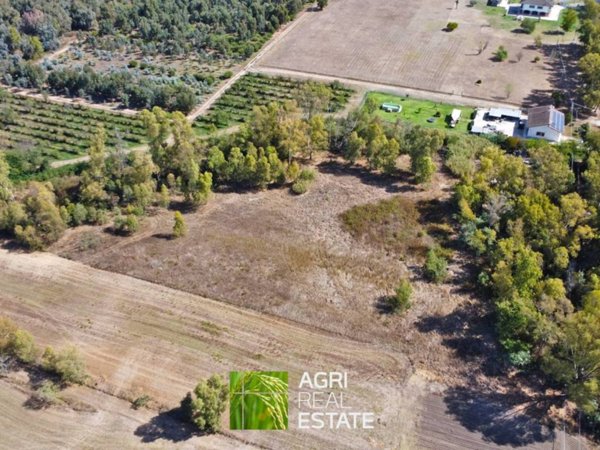 terreno agricolo in vendita a Latina in zona Borgo Santa Maria