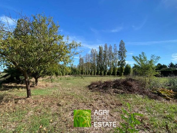 terreno agricolo in vendita a Latina in zona Foce Verde