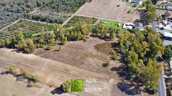 terreno agricolo in vendita a Latina in zona Borgo Santa Maria