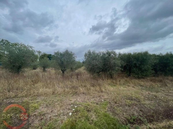 terreno agricolo in vendita a Latina in zona Borgo Carso