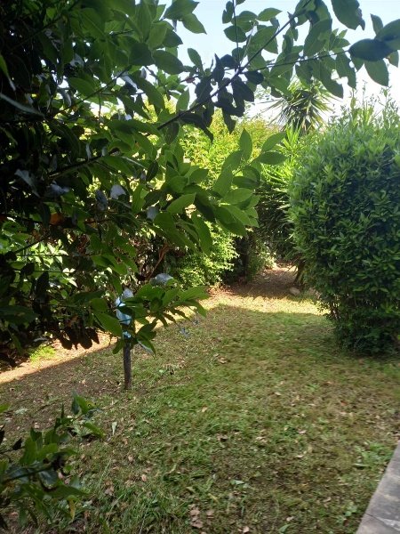 casa indipendente in vendita a Latina in zona Centro Città