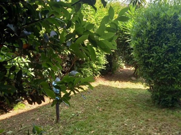 casa indipendente in vendita a Latina