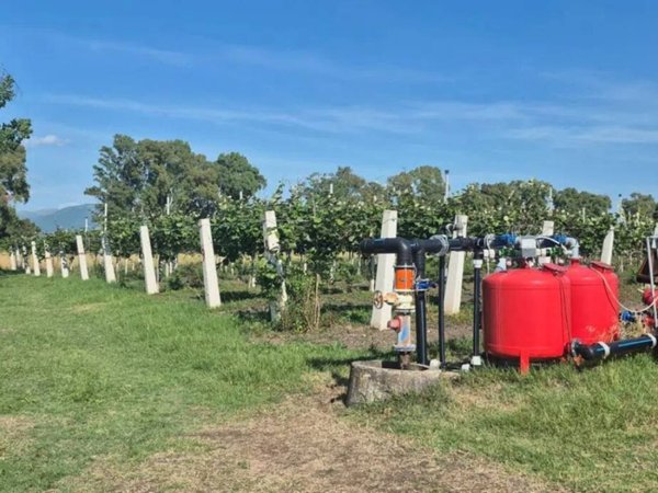 terreno agricolo in vendita a Latina in zona Borgo Carso