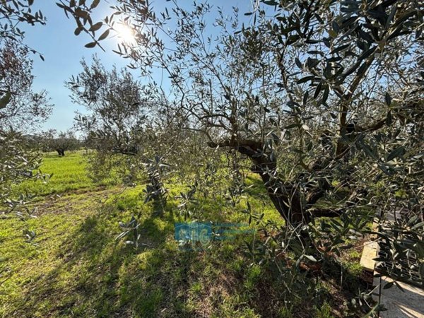 terreno agricolo in vendita a Latina in zona Borgo Carso