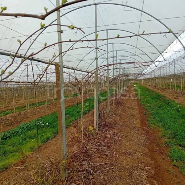 terreno agricolo in vendita a Latina in zona Acciarella