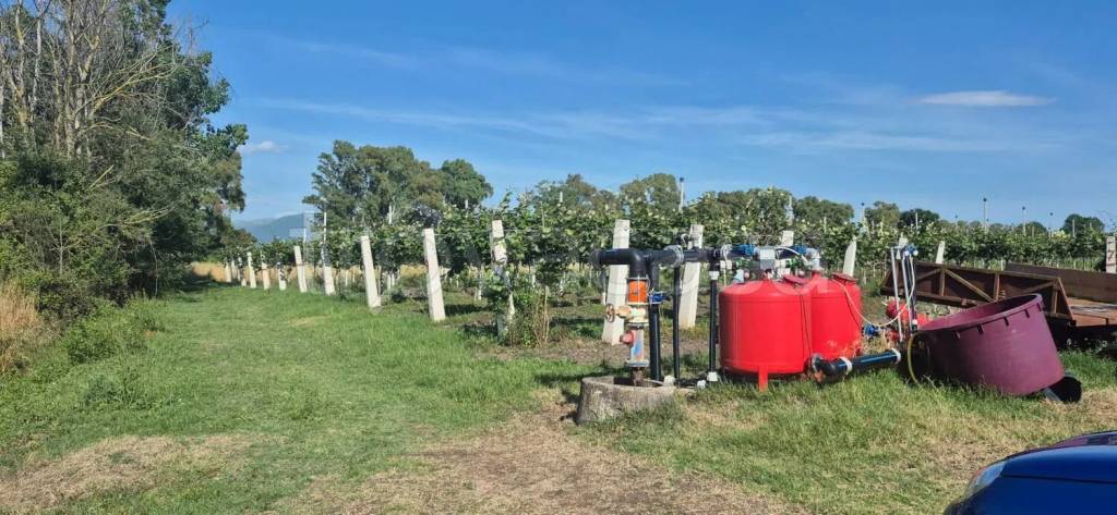 terreno agricolo in vendita a Latina in zona Borgo Carso