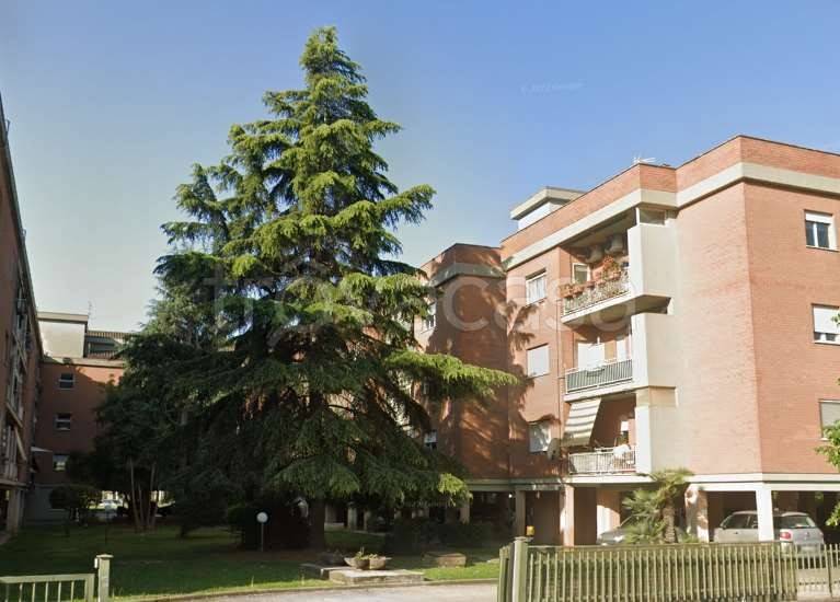 appartamento in vendita a Latina