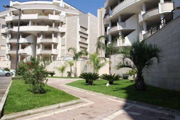 appartamento in vendita a Latina