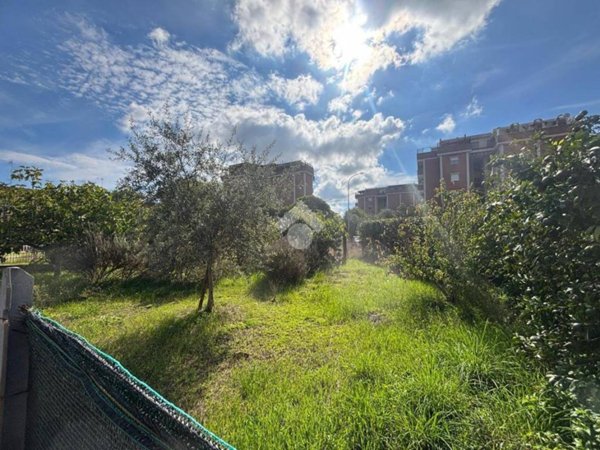 terreno agricolo in vendita a Latina in zona Centro Città