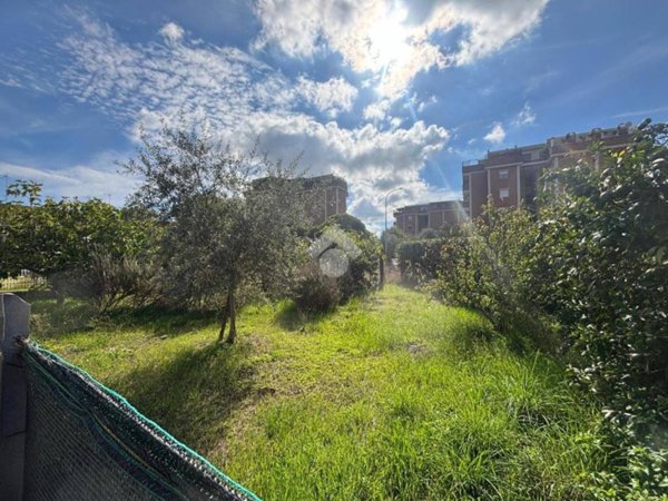 terreno agricolo in vendita a Latina in zona Centro Città