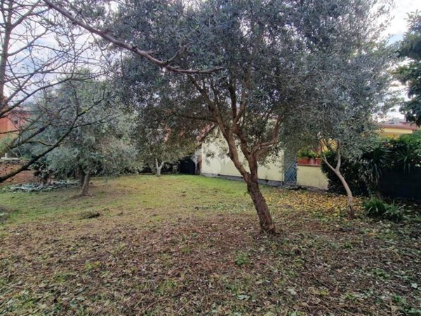 terreno agricolo in vendita a Latina