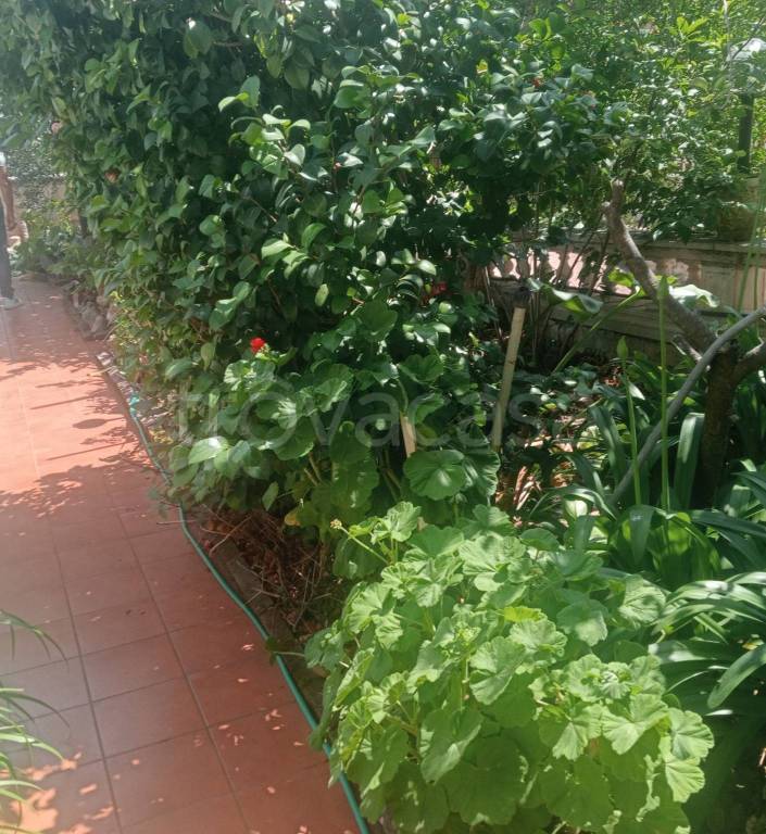 casa indipendente in vendita a Latina