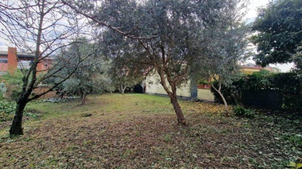 terreno agricolo in vendita a Latina