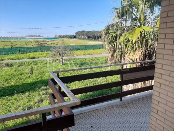 casa indipendente in vendita a Latina in zona Borgo Grappa