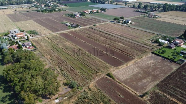 terreno agricolo in vendita a Latina in zona Borgo Faiti