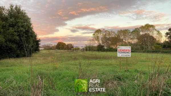 terreno agricolo in vendita a Latina in zona Borgo Grappa