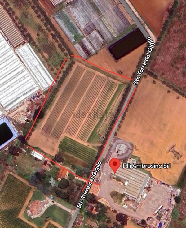 terreno agricolo in vendita a Latina in zona Borgo Montello