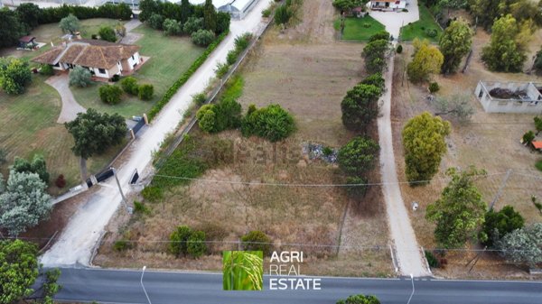 terreno agricolo in vendita a Latina in zona Borgo Grappa