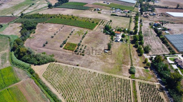 terreno agricolo in vendita a Latina in zona Borgo Montello