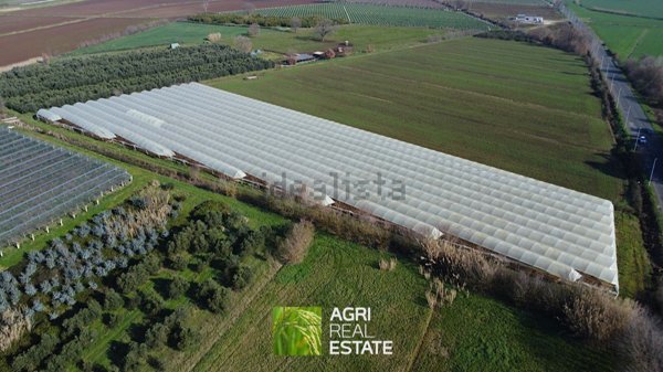 terreno agricolo in vendita a Latina