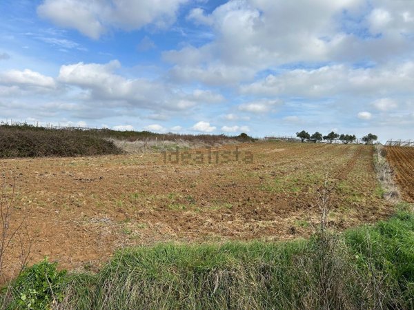 terreno agricolo in vendita a Latina in zona Borgo Montello