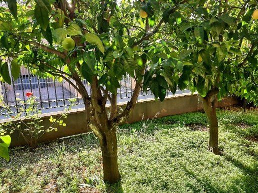 casa indipendente in vendita a Latina