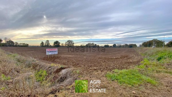 terreno agricolo in vendita a Latina in zona Latina Scalo