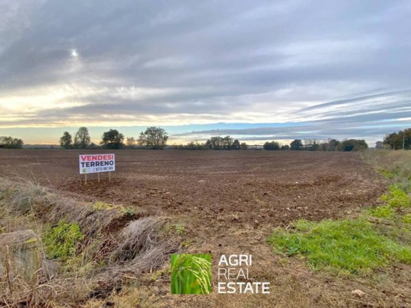 terreno agricolo in vendita a Latina in zona Latina Scalo