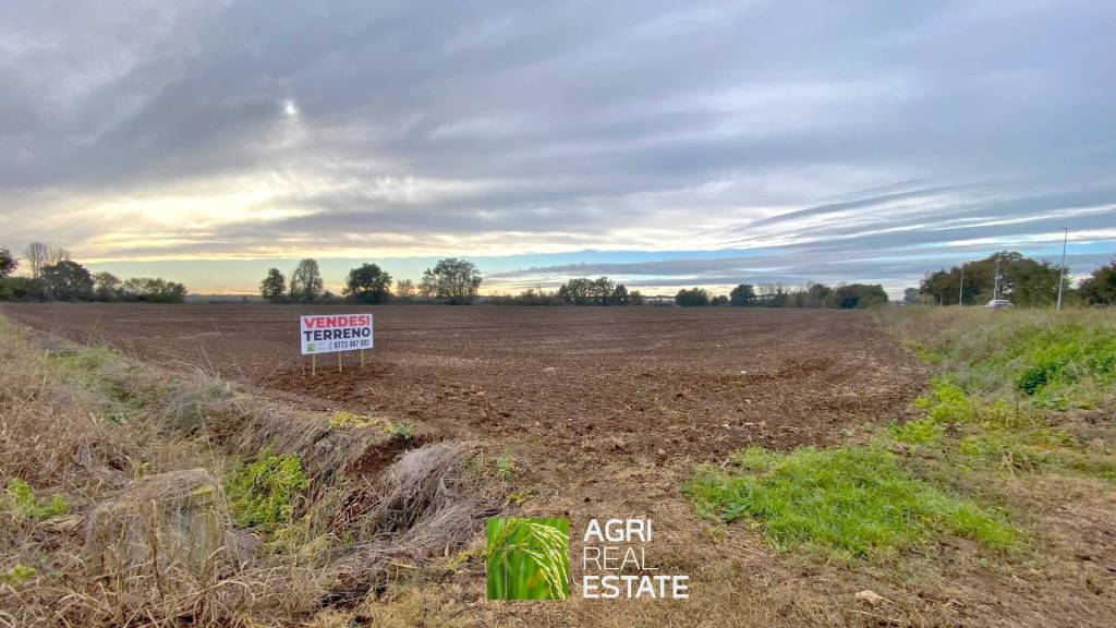 terreno agricolo in vendita a Latina in zona Latina Scalo