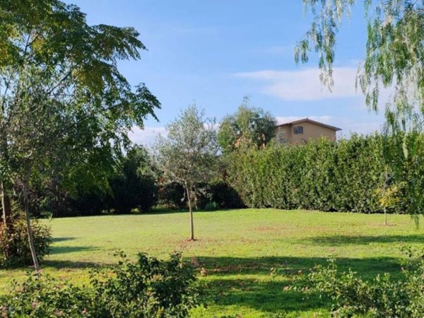 terreno agricolo in vendita a Latina in zona Borgo Santa Maria