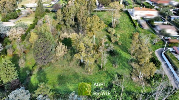 terreno agricolo in vendita a Latina