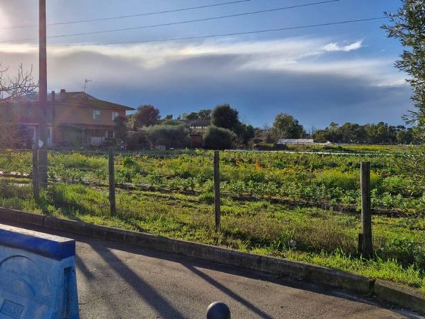 terreno agricolo in vendita a Latina in zona Foce Verde
