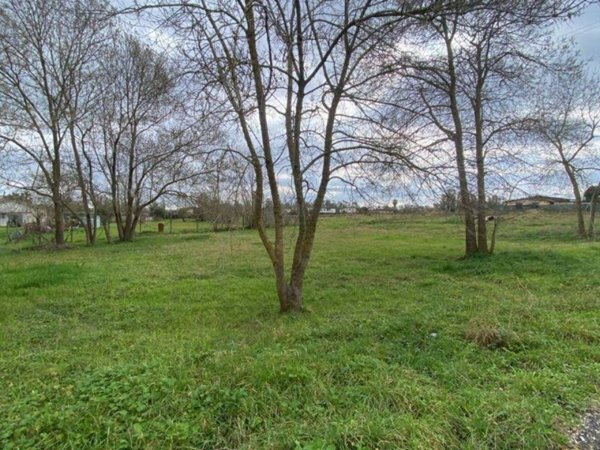 terreno agricolo in vendita a Latina in zona Foce Verde