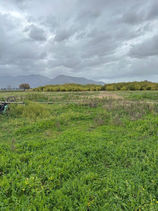 terreno agricolo in vendita a Latina in zona Latina Scalo