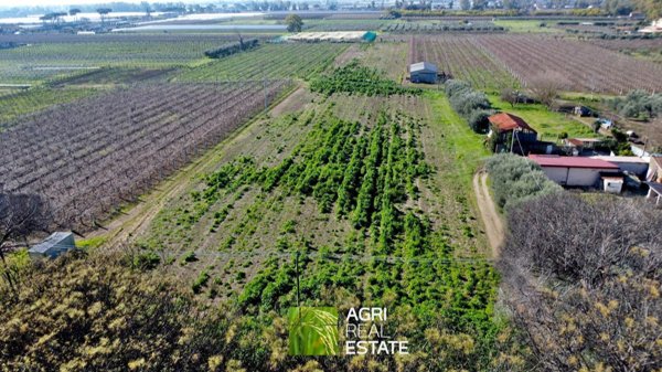 terreno agricolo in vendita a Latina in zona Borgo Carso