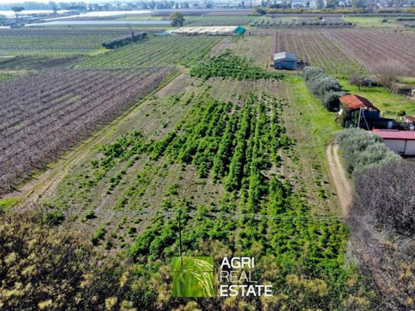 terreno agricolo in vendita a Latina in zona Borgo Carso