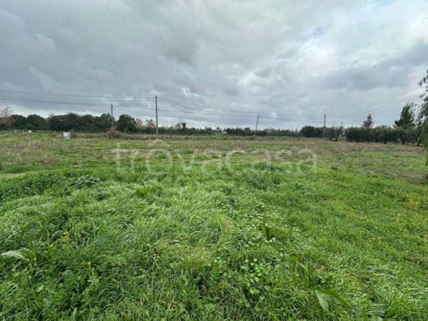 terreno agricolo in vendita a Latina in zona Latina Scalo