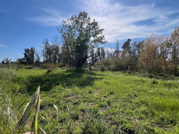 terreno agricolo in vendita a Latina in zona Foce Verde