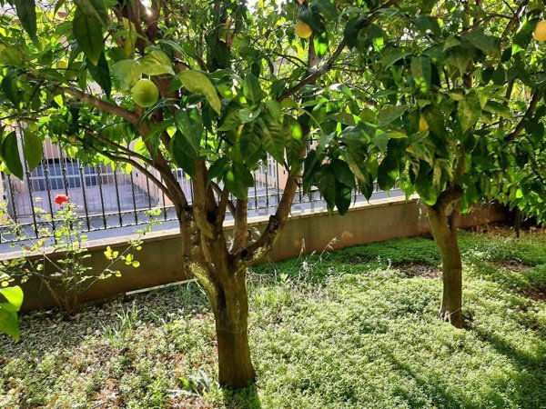 casa indipendente in vendita a Latina